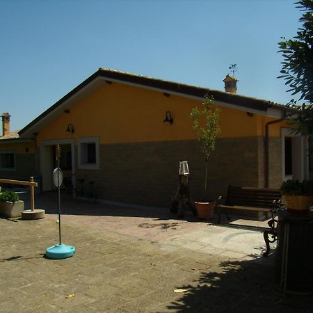 Agriturismo L.B.Stud 브라치아노 외부 사진