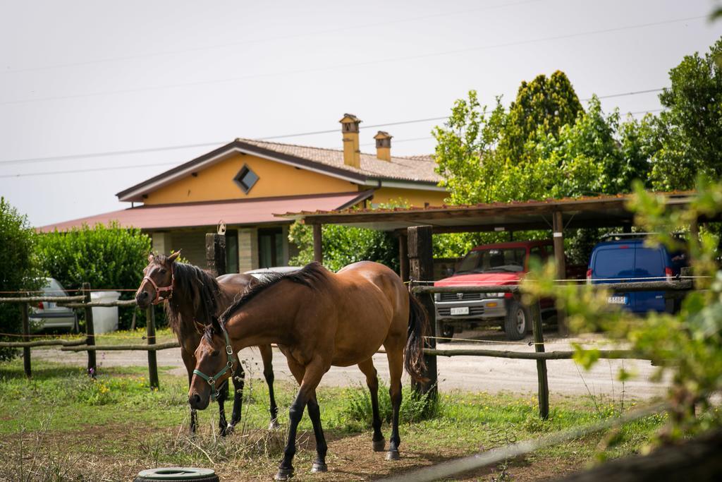 Agriturismo L.B.Stud 브라치아노 외부 사진