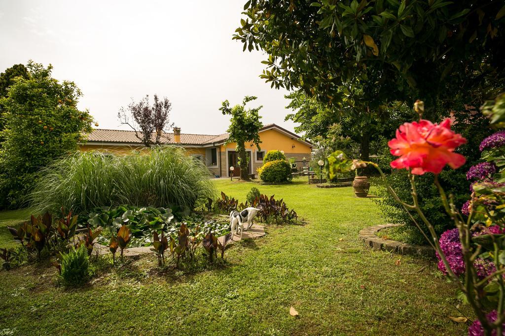 Agriturismo L.B.Stud 브라치아노 외부 사진